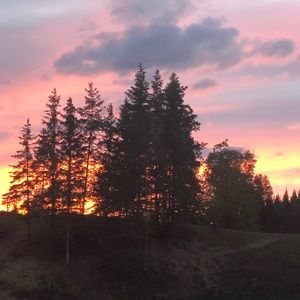 Meet your Posher, Bertha